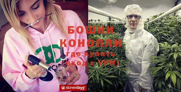 кокс Дмитриев