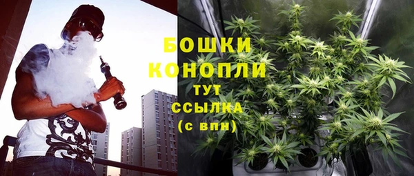 кокс Дмитриев