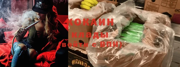 спиды Дмитров