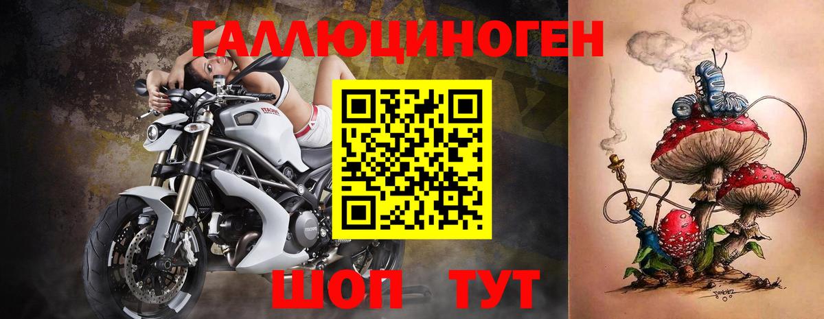 Псилоцибиновые грибы Psilocybe  Псилоцибиновые грибы прущие грибы  Ревда  Вход с VPN 