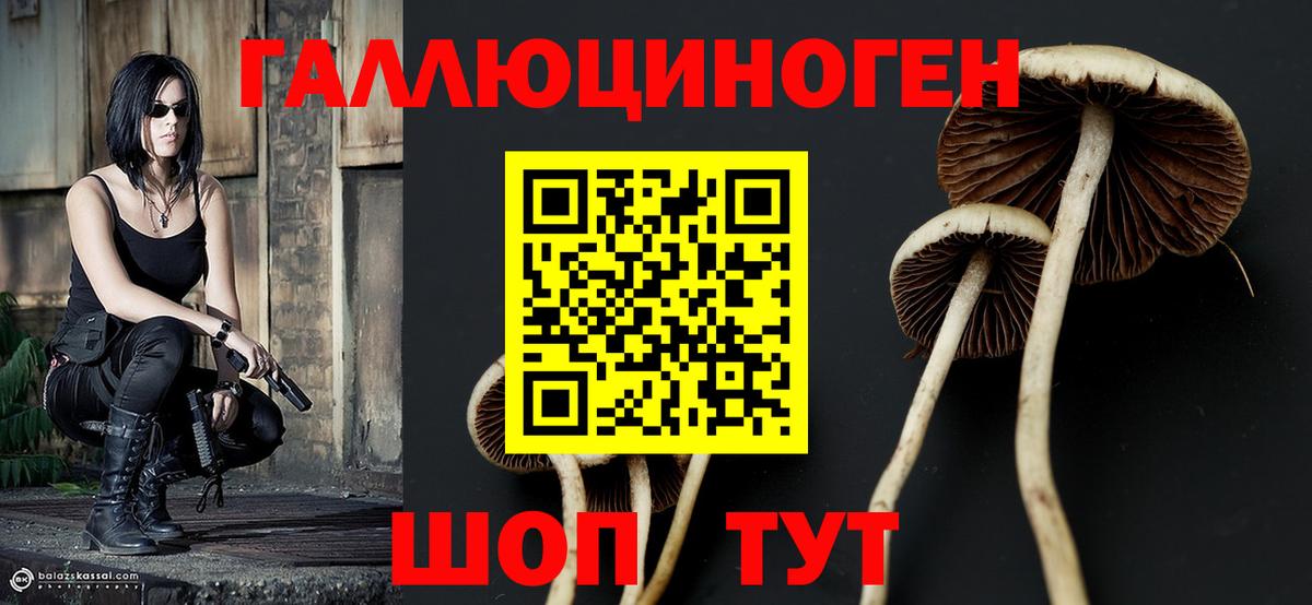 Галлюциногенные грибы MAGIC MUSHROOMS Ревда